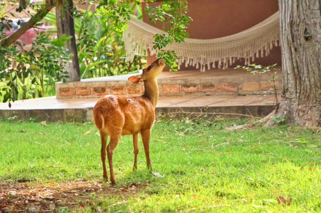 Aymara Lodge Poconé Buitenkant foto